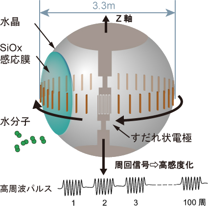 ボールSAWセンサ